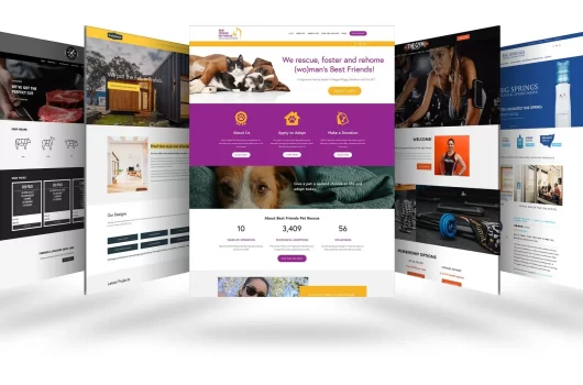 Business website design services